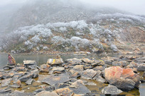 �Ĵ�����ľ���ѩ��