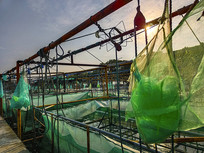 ̫����з��ֳ