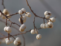 �����ɫ������