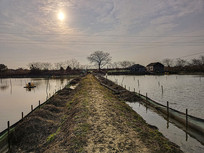 ����Ϻ��ֳ