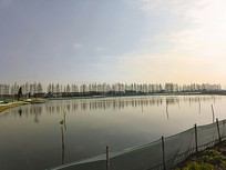 ��Ұ��з��ֳ