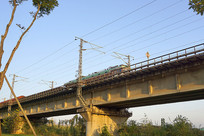 �ɶ�ʪ�ع�԰��·�߼��ź��г�