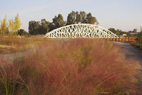 �ɶ���ʯʪ�ع�԰�������Ӳ� 