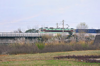 �ɶ���ʯʪ�ع�԰��·�г�