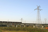 �ɶ���ʯʪ�ع�԰��·�Ż�