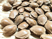 ��ʳ���Ǽ��