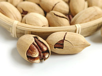 ��ʳ�������