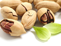 ��ʳ�زļ��