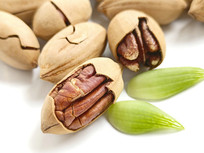 �½���ʳ���