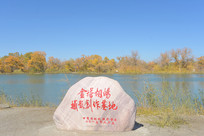 �𲨺�����������Ӱ�������ر� 