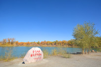 ��Ӱ����