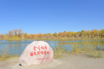 ������Ӱ