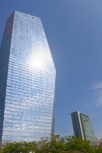 �㶫���ڻ��ȳ�Ħ���¥