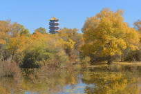 ���������ֽ���������������