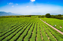 �����ͺ��ϰ�ɳ�̲�ͼ