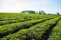  һ���������ͺ��ϰ�ɳ�̲�