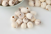 �ױ����ϵ�����