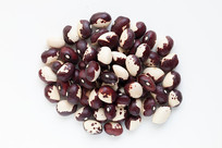 �ױ����ϵ���è��