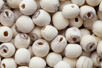 ����һ�������