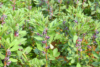 ũ���￪���Ĳ϶� 