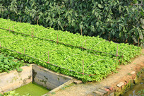 �߲�ũ�����۲�