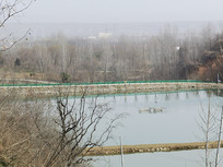 ��ũ����̬����