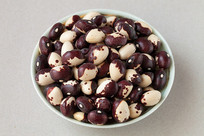 װ�ڵ��������è��