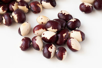 ��ɫ���Ƶ���è��