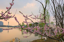 �ɶ�������������Ȫ���һ� 