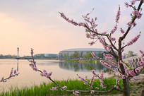 �ɶ��������������� ��Դ���һ� 