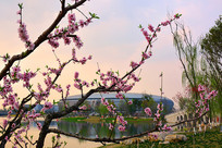 �ɶ�������������������Ȫ�һ� 