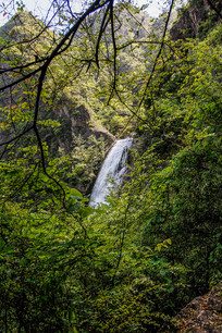 �������ٲ�