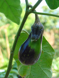 ����������������