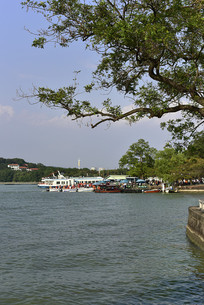 ����̫����ͷ侾�������ͷ