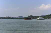 ����̫����ͷ侾������δ�