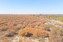 ������������ֵؼ���·���� 