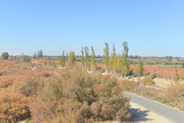 ����ƽԭ�����ֵؼ���·����