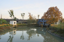 �ɶ���ʯʪ�ع�԰����������բ  