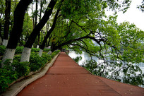 ������Ȼ�ĺ���С��