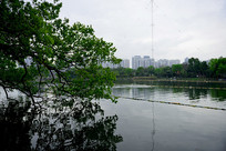 �����о�����