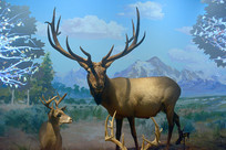 ����Ұ��������¹