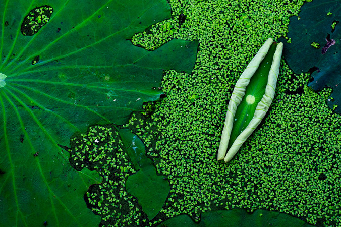 ������ɫ