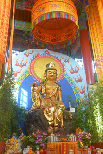 ���ɺ������¹����������