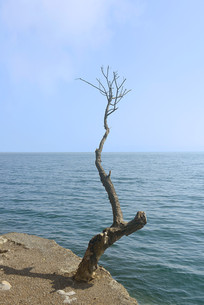 ���ϸ��ɺ� ��Ϣ���ľ