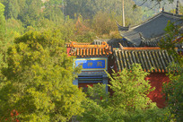 ���ϸ��ɺ������²����