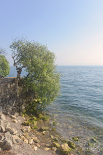 ��Ϫ���ɺ� ��Ϣ�������ľ 