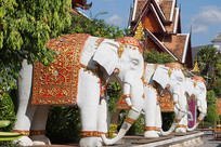 ���Ͼ��������´������