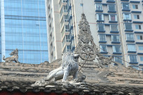 �ɶ������������ʨ��װ�λ���