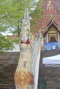 ��˫���ɴ���������ȵ���