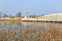 �ɶ��������ɷ���ˮ��԰��